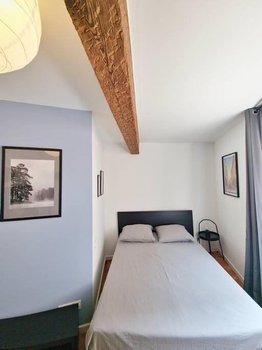 Appartamento Proche Capitole - Terrasse - Wifi - Tv Tolosa