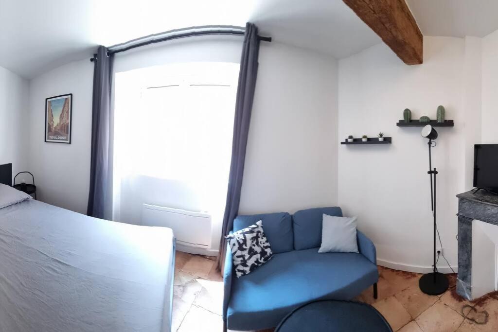 Apartment Proche Capitole - Terrasse - Wifi - Tv Toulouse